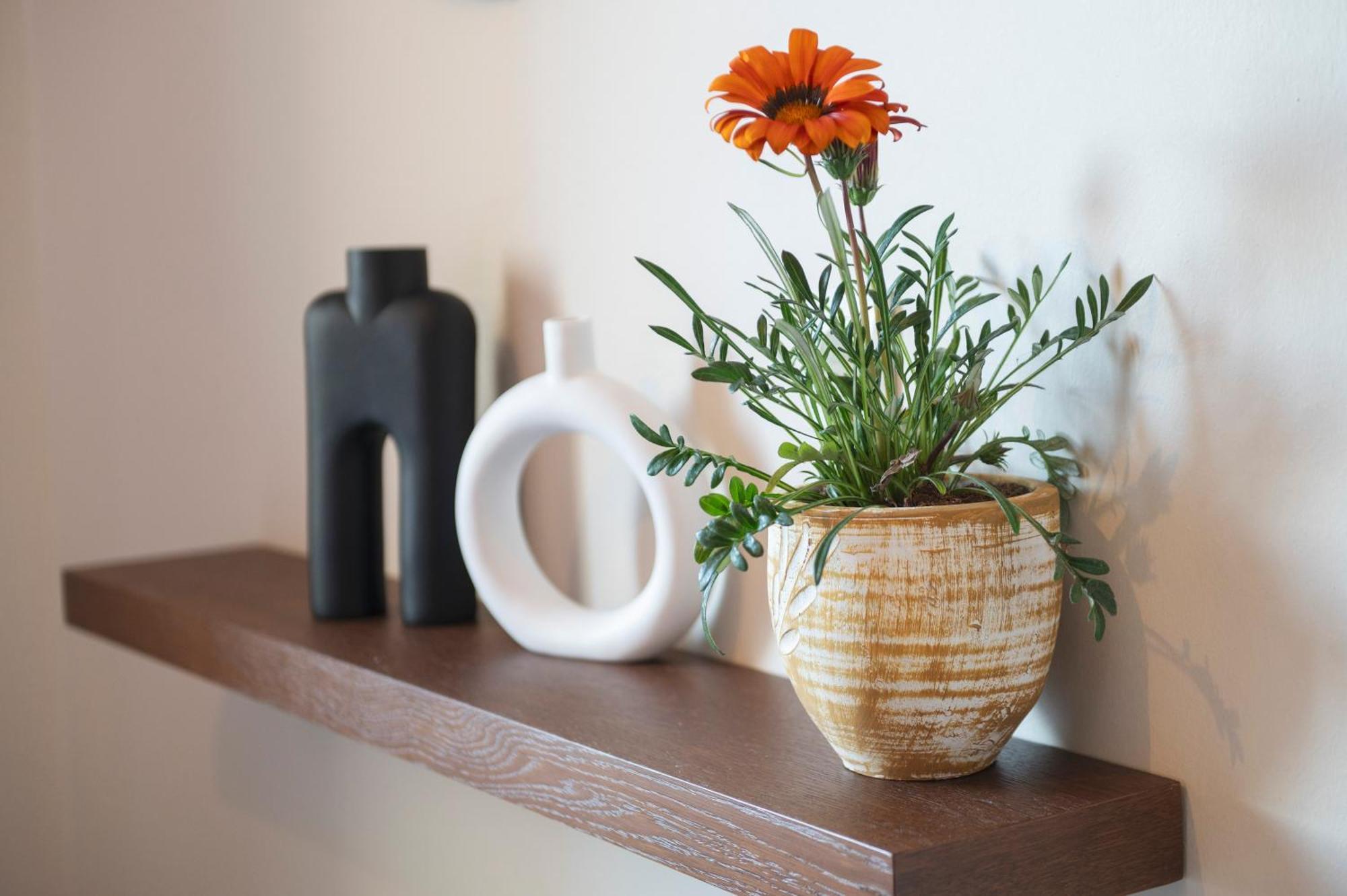 Casa Di Demezzo Apartment Сития Стая снимка